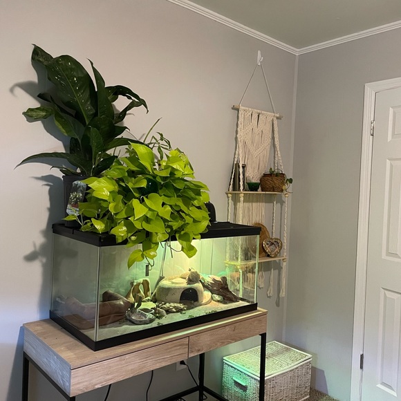 Meet your Posher, Destinee - Picture 3 of 5